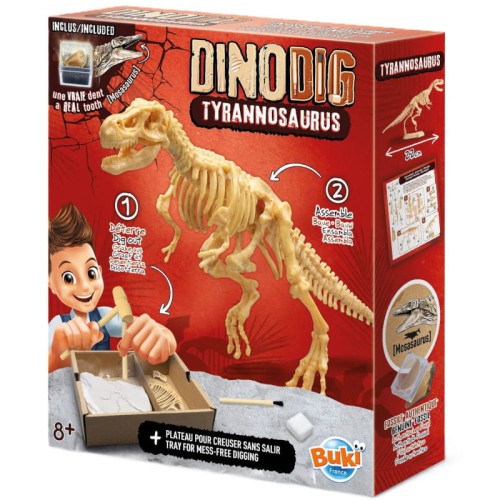 buki-maly-paleontolog-wykopaliska-tyranozaur.jpg