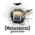 buki-maly-paleontolog-wykopaliska-tyranozaur-4.jpg