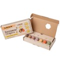 Medenka-kredki-Junior-Pastel-display.jpg