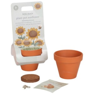 Słonecznik do samodzielnej uprawy z doniczką, Little Dutch