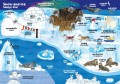 zwierzeta-moja-pierwsza-encyklopedia-polsko-angielska-z-okienkami-3.jpg