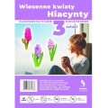 kunke-naklejki-elektrostatyczne-na-szybe-hiacynty.jpg