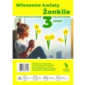 kunke-naklejki-elektrostatyczne-na-szybe-zonkile.jpg
