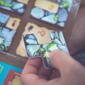 smart-games-gra-magnetyczna-robaczki-4.jpg