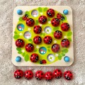 woopie-green-memory-drewniana-gra-pamieciowa-edukacyjna-ukladanka-biedronka-5.jpg