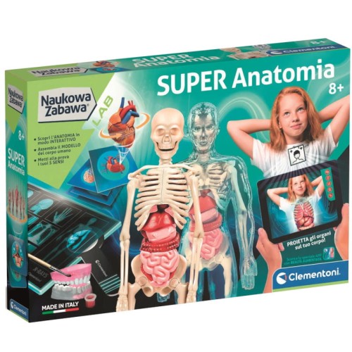 clementoni-super-anatomia-naukowa-zabawa.jpg