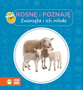Rosnę i poznaję ZWIERZĘTA I ICH MŁODE, Zielona Sowa