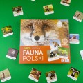 adamigo-memory-fauna-polski-1.jpg