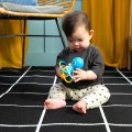 baby-einstein-gryzak-grzechotka-opus-osmiornica-2.jpg