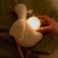 little-dutch-lampka-gaska-interaktywna-newborn-naturals-1.jpg