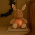 little-dutch-lampka-krolik-interaktywna-newborn-naturals-2.jpg