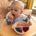 babyono-silikonowy-talerz-z-przyssawka-i-przykrywka-rozowy-7.jpg