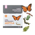 cykl-rozowojowy-motyla-karty-montessori-figurki.jpg