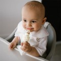 babyono-gryzak-do-podawania-pokarmow-dino-bezowy-3.jpg