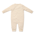 5689_2.png