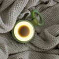 alilo-coconap-awokado-2.jpg