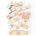 PL101-abc-all-blocks-overlay.jpg