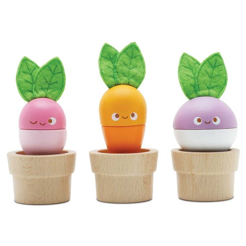 PL121-stacking-veggies-2022-fsc-1.jpg