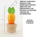 warzywa-3c.jpg