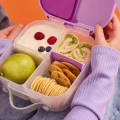 b.box-mini-lunchbox-sugar-plum-1.jpg