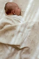 5603_5.jpg