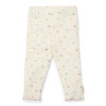 5775_4.png