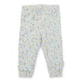 5779_5.png