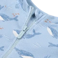 5884_1.png