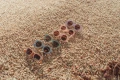 6000_8.jpg