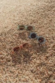 6002_3.jpg