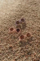 6005_4.jpg