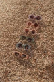 6005_3.jpg