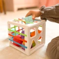 woopie-baby-elastyczna-kostka-sensoryczna-sorter-dla-dzieci-kolorowe-ksztalty-11-el-3.jpg