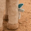 Little-dutch-przytulanka-zyrafa-safari-friends-4.jpg