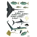 poppik-plakat-wyklejanka-ocean-2.jpg