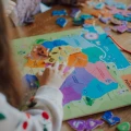 Janod-Puzzle-magnetyczne-Mapa-Polski-69-magnesow-4.jpg