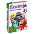alexander-karty-do-gry-pamiec-piotrus-emocje-3.jpg