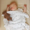 babyono-pieluszki-muslinowe-jeże-z-listkami-2.jpg